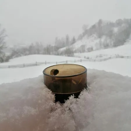 Shpin Tatil Evi Vorokhta